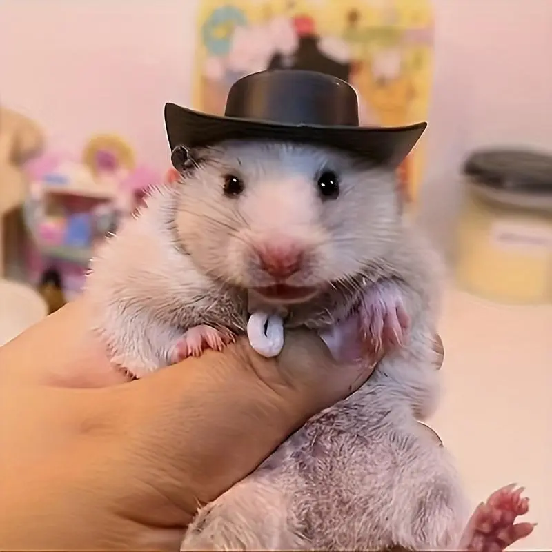 Plastic Hamster Cowboy Hat Accessory - 1pc Miniature Western Party Hat for Small Pets, Durable Headgear for Hamsters
