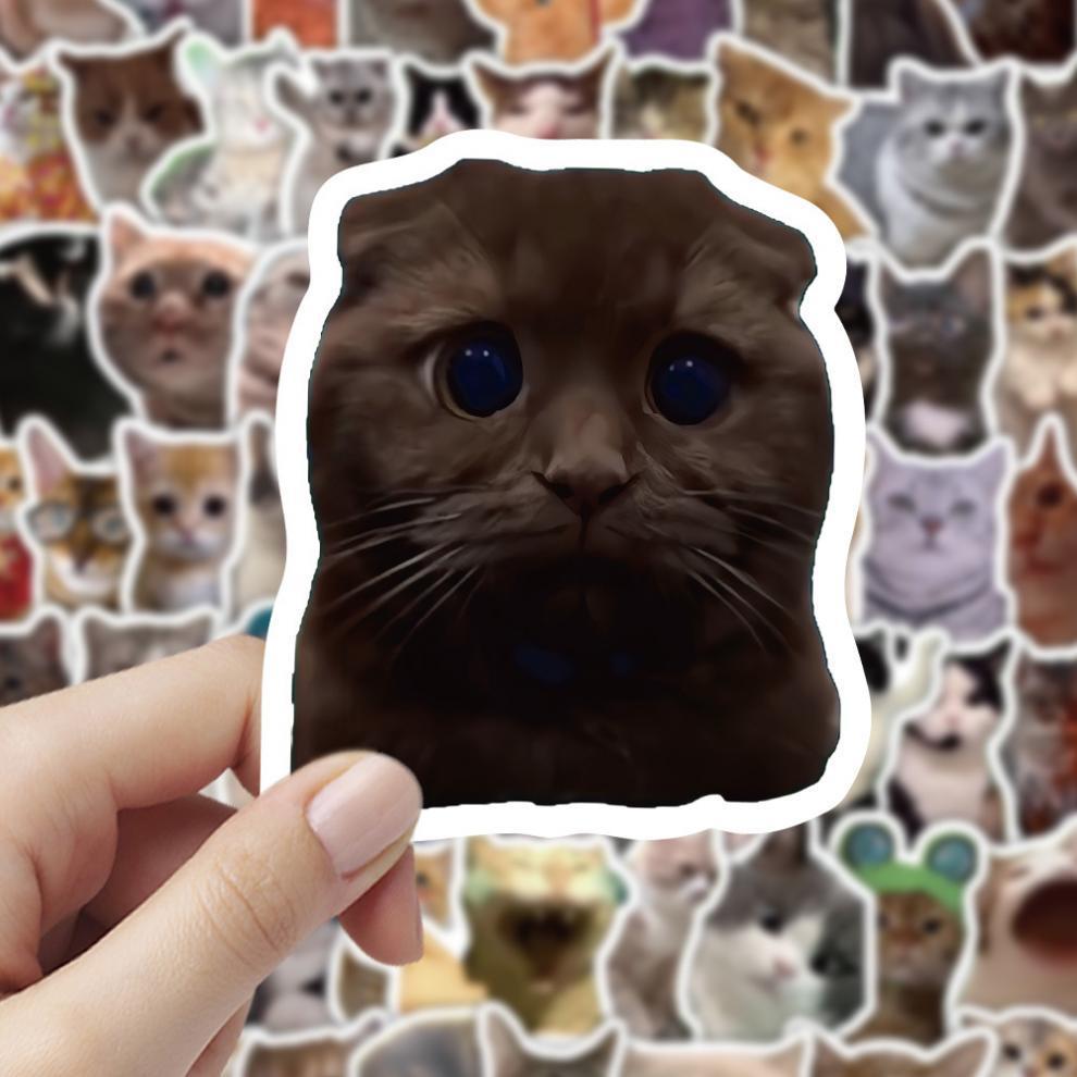 300 cat meme stickers, cute and funny quirky cat Instagram-style emoji and meme images