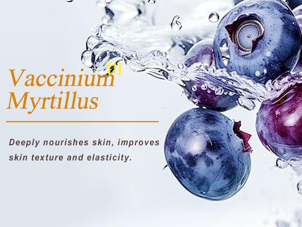 MAYKOO Makeup Remover Cleansing Balm, Melting Cleansing Cream Oil Based Cleanser, Hydrating Makeup Remover Balm with Vaccinium Myrtillus, Hydrate Skin, Non-comedogenic, No Harsh Chemicals, 0 Residue with Spatula & Easy to Rinse, 3 Oz, Cosmetic, Moisturize