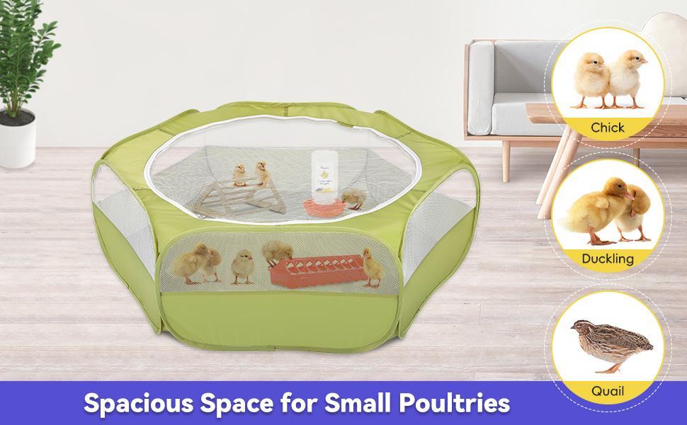 Pawaboo 5-in-1 Chicken Brooder Box for Chick Starter Kit, Includes Pet Cage Tent, Chicks Perch, Chick Feeder, 1.1L Chick Waterer, Baby Chick Supplies (Brooder Set), Green + Red + Wood Color