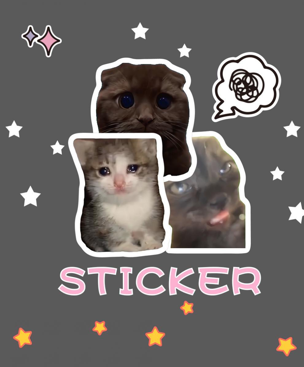 300 cat meme stickers, cute and funny quirky cat Instagram-style emoji and meme images