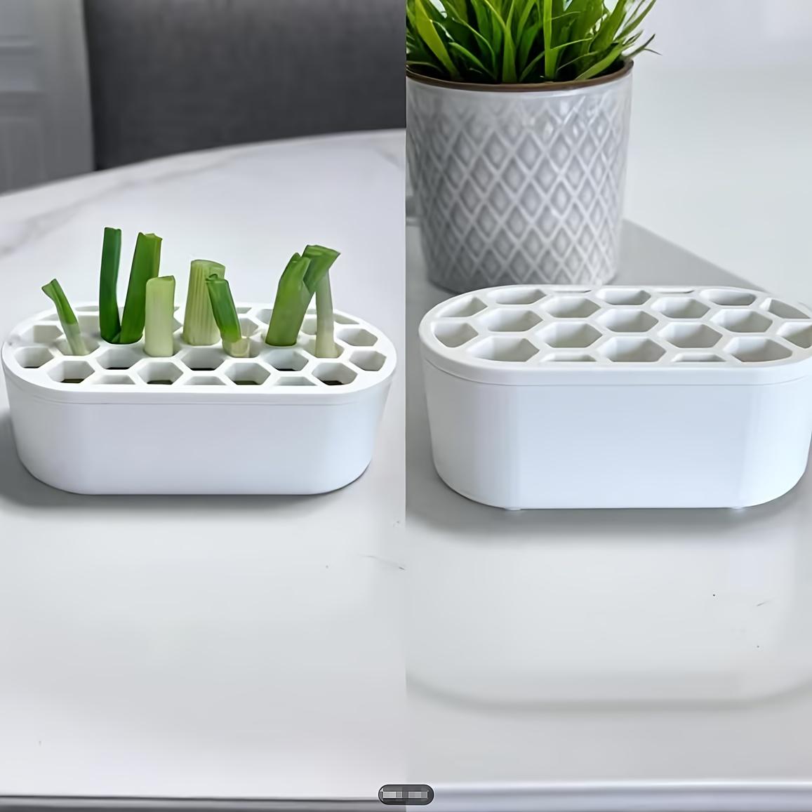 1 Set Green Onion Regeneration Kit - Hydroponic System Suitable for Balcony, Windowsill & Small Space, Quick Grow for Onions at Home, Compact Rapid Regeneration System for Urban Cultivation (No Skills Required)