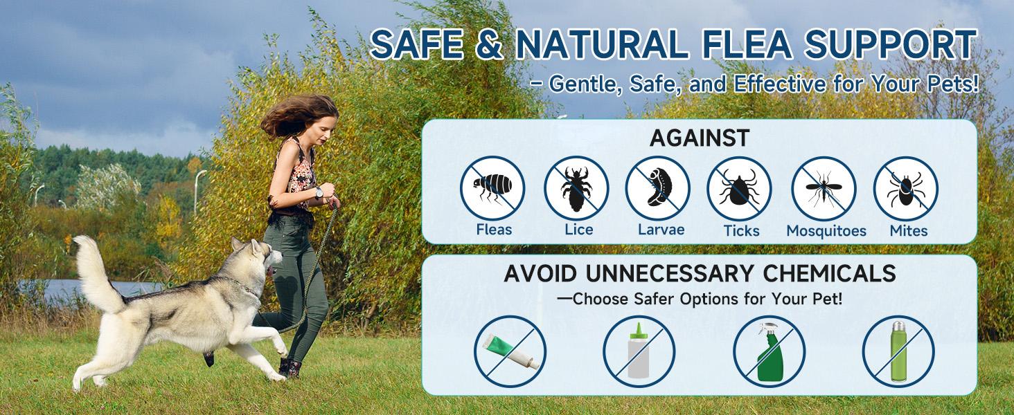 Woyamay Flea & Tick Prevention for Dogs, 200 Ct Chewables Support Skin&Coat Health with Fish oil, Omega-3, Multivitamin, Natural Dog Flea and Tick Chews for All Breeds & Sizes, Chicken Flavor