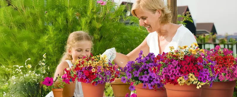 Product Introduction of Artificial Flower (24pcs/set), UV Resistant Colorful Fake Flower, Decorative Bouquet for Home Decor Garden Party Wedding Decor 14