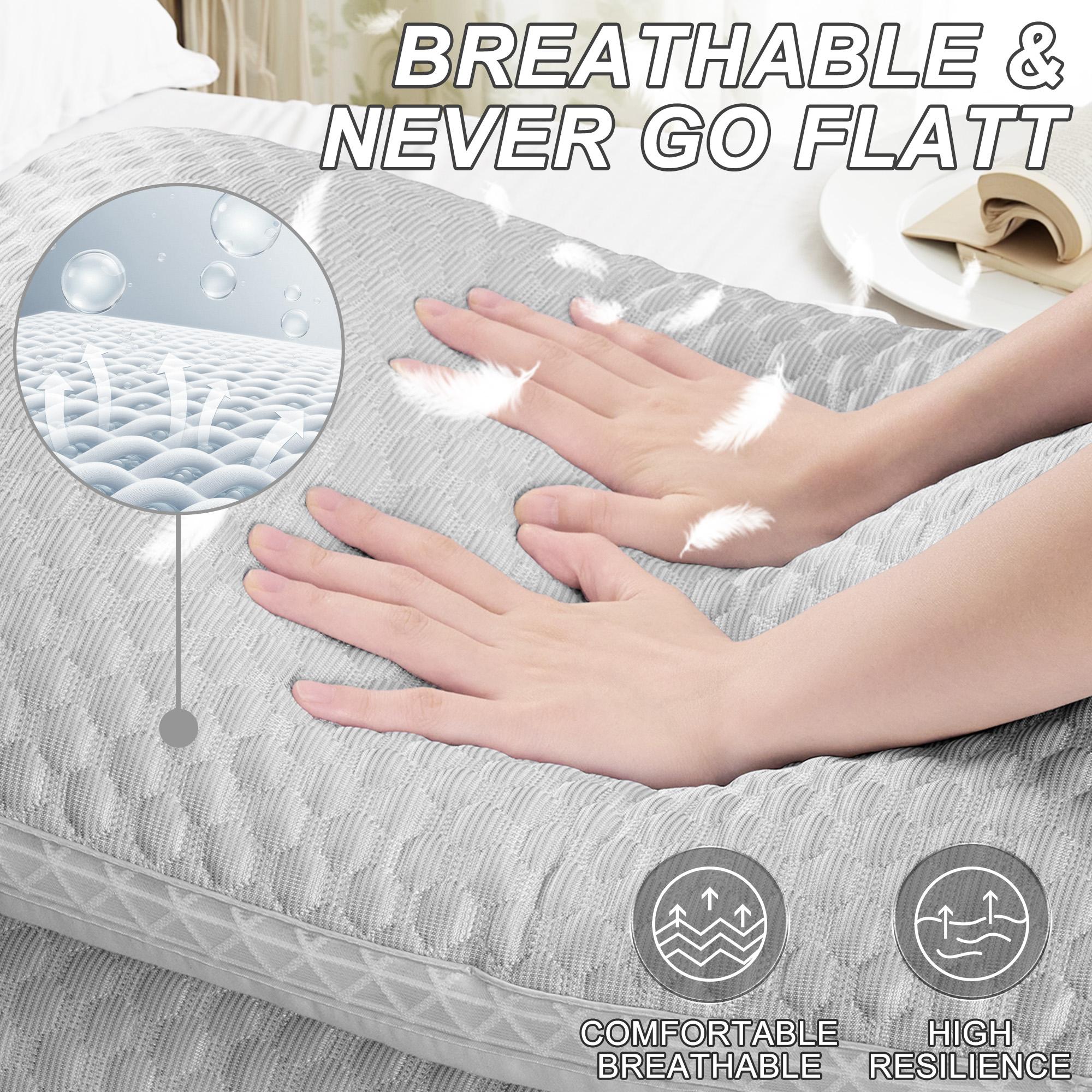 Raybee Luxury Neck Pillows 2 Pack,Bed Pillows Set of 2,Adjustable 5-star Hotel Quality Pillow for Side Back Sleeper, Holiday Gifts , Decor Bedroom Accessories【Black Friday】