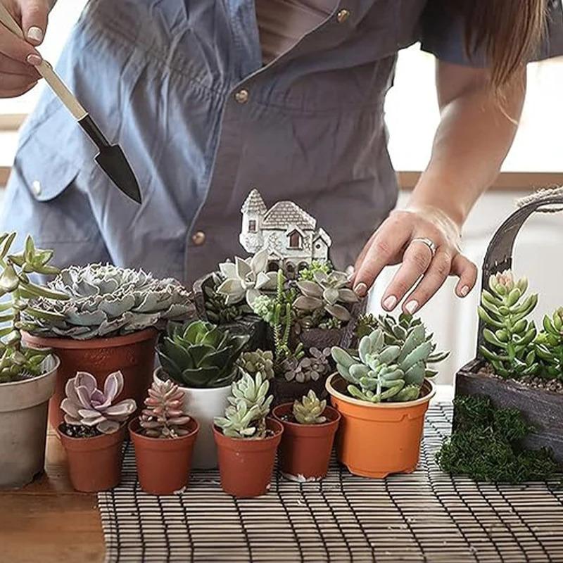 Mini Gardening Tools Set, 3-Piece Succulent Gardening Tool Set,  Stainless Steel Mini Shovel, for Succulents, Plants, Outdoor.