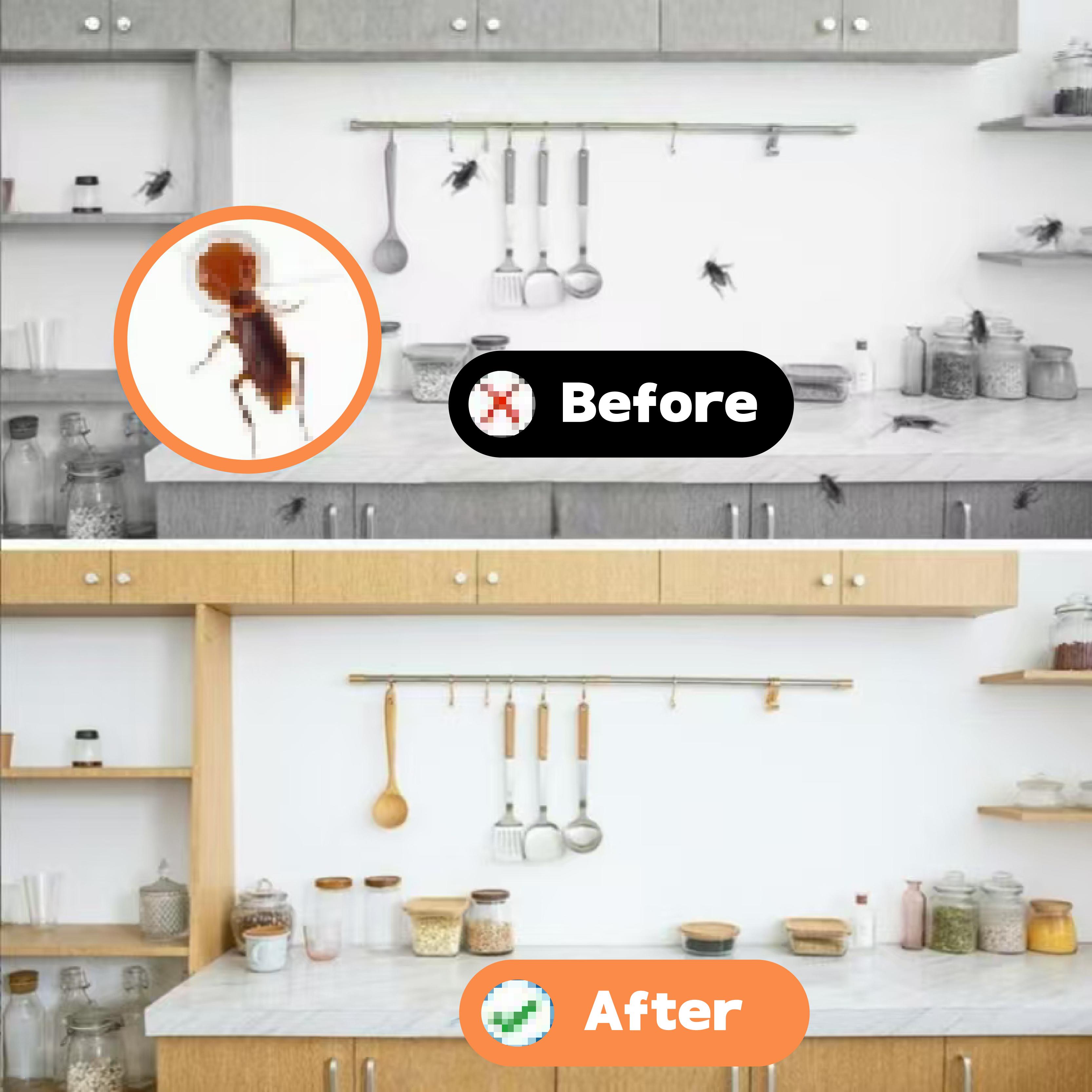 LENDOUYE: Indoor Pest Killing Products, Repellents, Indoor Traps, Insecticides, Bait Stations ZY Roach Control Solution