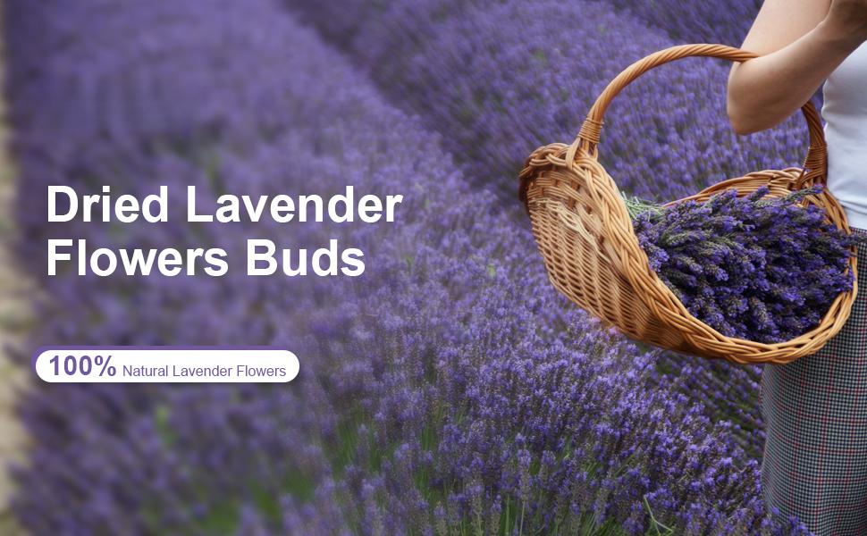 Dried Lavender Flowers, Dry Lavender Buds Bulk Wholesale Fragrant Lavender for Wedding Toss, Crafts, Sachets - 1/2 Pound