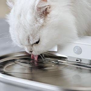 Upgrade Uahpet 6 Pack Replacement Filters & 8 Pack Replacement Filter Sponges, Compatible with Uahpet Stainless Steel Pet Fountain PRO version