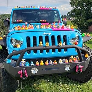 100 Pack Rubber Duck for Jeeps Ducking - 2" Bulk Floater Duck for Kids - Baby Bath Toy Assortment with Bag - Party Favors, Bath Time, Birthdays, and More (100 Varieties)