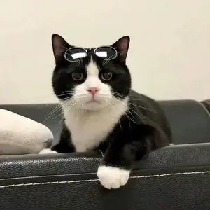 background preload poster image 