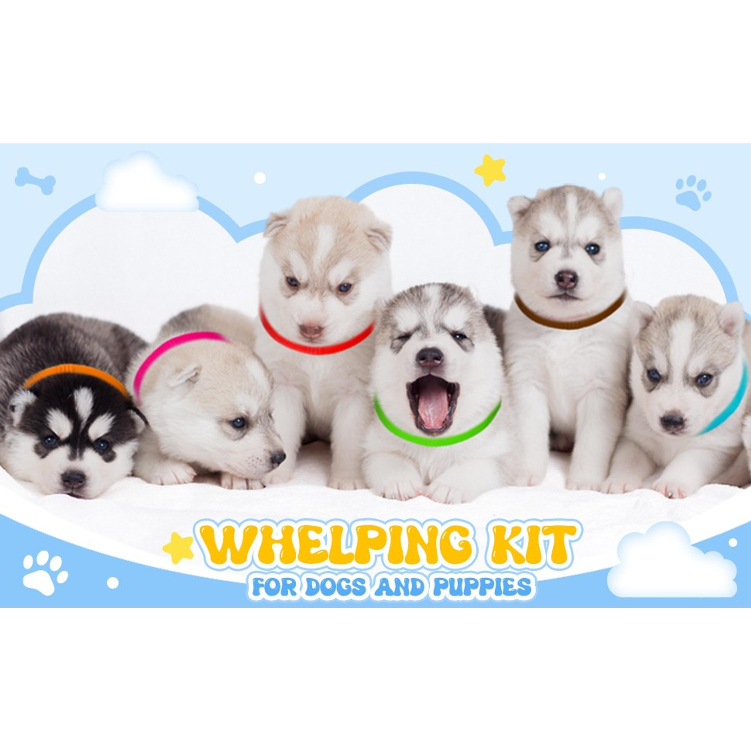 57-Pcs Functional Puppy Whelping Kit with Foldable Base, Includes Feeding Tube (40 in Diameter), Syringes & Tube Feeding Accessories for Newborn Puppies Birth & Bottle Feeding Supplies, Functional Kit