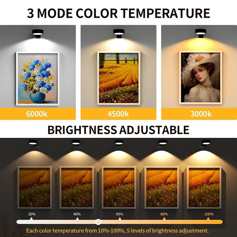 Rechargeable Picture Light, Wireless Magnetic Painting Light with Remote Control, Dimmable LED Cabinet Light, Display Lamp for Wall Gallery Portrait Artwork