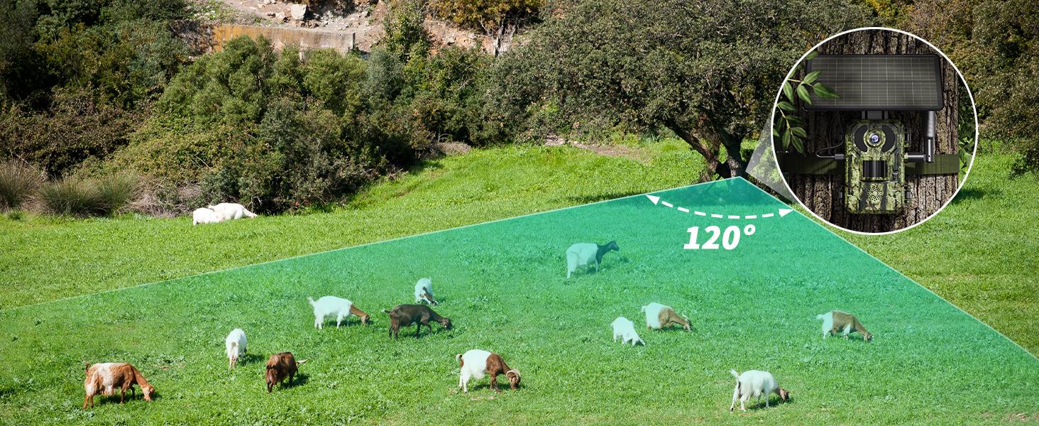 [4K Live]4G LTE Cellular Trail Camera with Forever Solar Powered, Motion Activation 0.2 Second Trigger Time, Unlimited Data Plan Built-in SIM Card(subscription required)