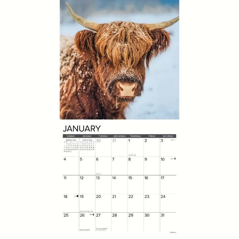 2026 Highland Cow Calendar, Scottish Cow Wall Planner, Farm Animal Lover's Monthly Schedule, Annual Plan, Home Office Decor Gift
