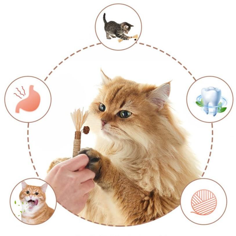 Pet Toy Cat Chew Stick, Hemp Rope Wood Mint Catnip Teeth Cleaning, Indoor Play Oral Stimulation, Ideal for Cats and Adult Cats