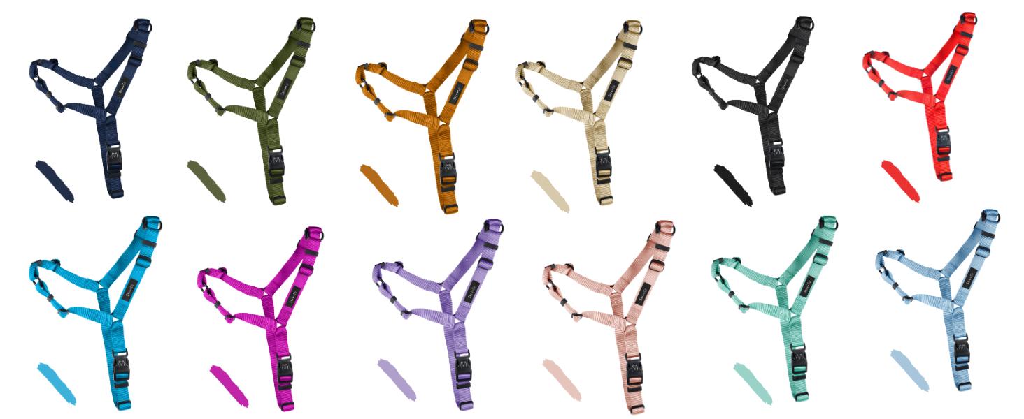 Dream Walk No-Pull Dog Harness- Adjustable, Comfortable, Easy to Use Pet Halter to Help Stop Pulling for Small, Medium and Large Dogs (Seafoam, L)