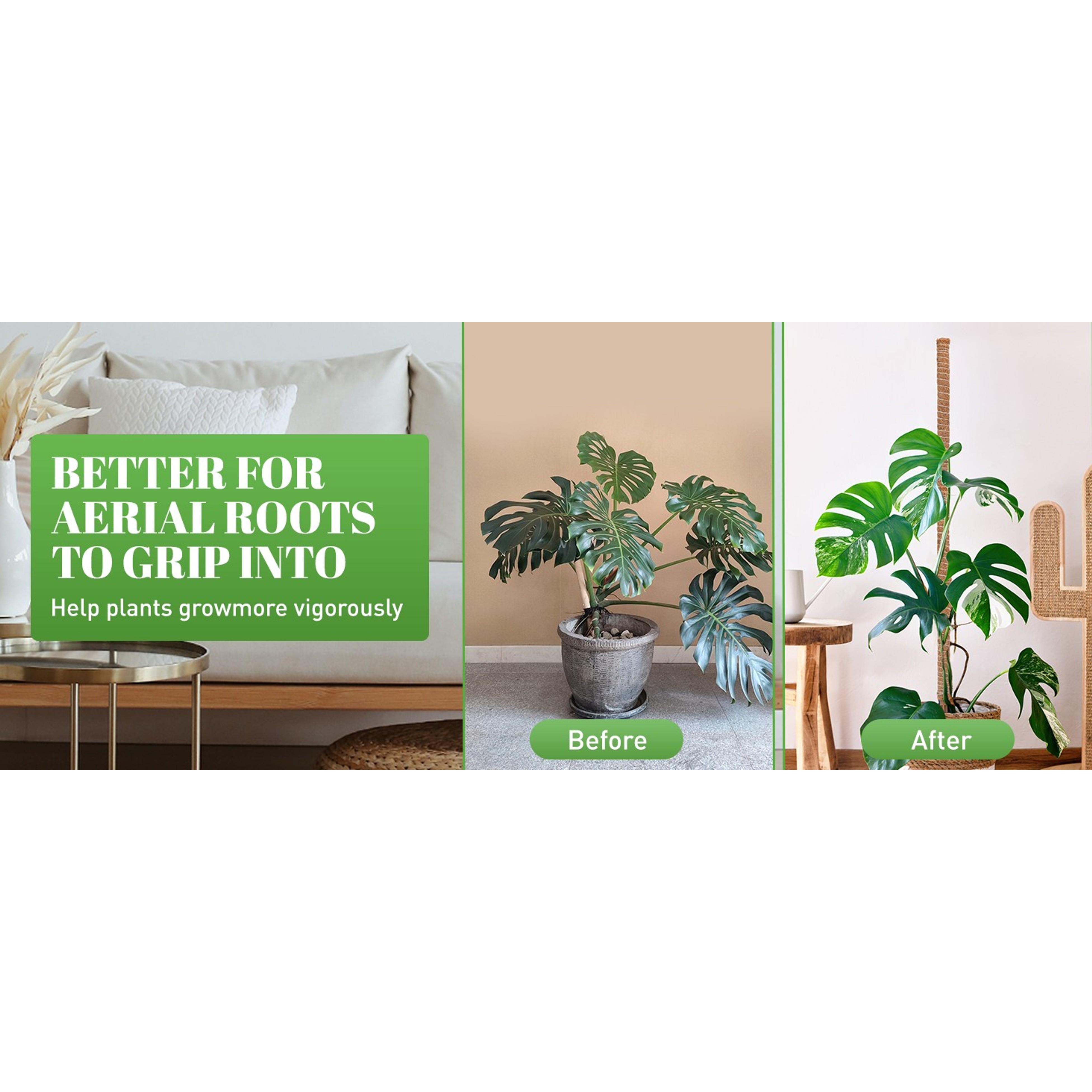 54 Inch Moss Pole, 3 Pack 16 Inch Moss Poles Monstera Plant Support, Moss Poles for Climbing Plants Indoor, Coir Plant Pole Sticks Support Stakes for Potted Plants, Pothos, Philodendron