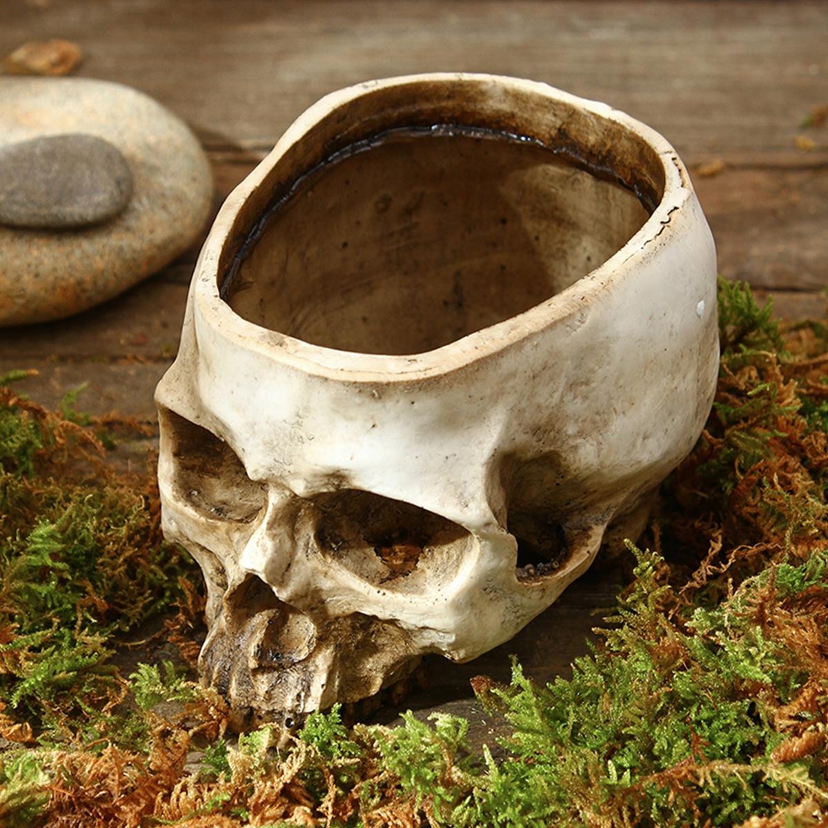 Gothic Halloween Skull Planter Pot, Resin Material Garden Decoration, Perfect for Party & Celebration, Fun Succulent Planting Bowl, Resin Flower Pot