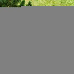 Garden Rooster Statue Chicken Sculpture For Yard Decor Weatherproof Hen Figurine