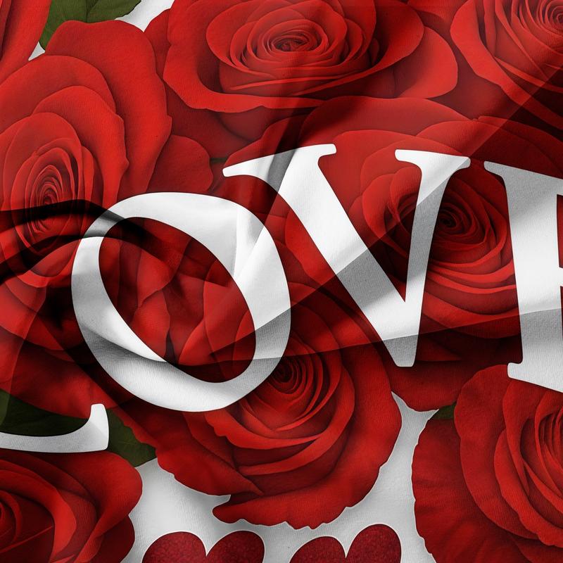 3 Counts/set Valentine's Day Love Letter Rose Pattern Duvet Cover Set including 1 Duvet Cover + 2 Pillowcases, Soft and Comfortable Decorative Bedding for Bedroom or Guest Room, Without Comforter