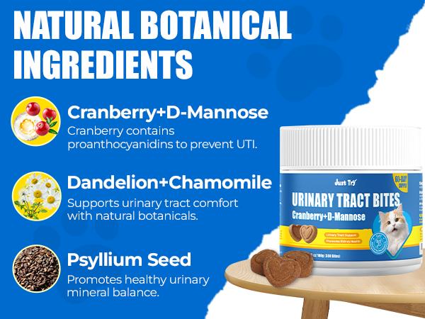 Just Try Urinary Tract Bites Cat Treat – Cranberry & D-Mannose Formula for UTI Prevention & Bladder Support, Chicken Flavor (6.35 oz, 300 Bites)