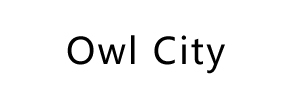 owl city sunglasses