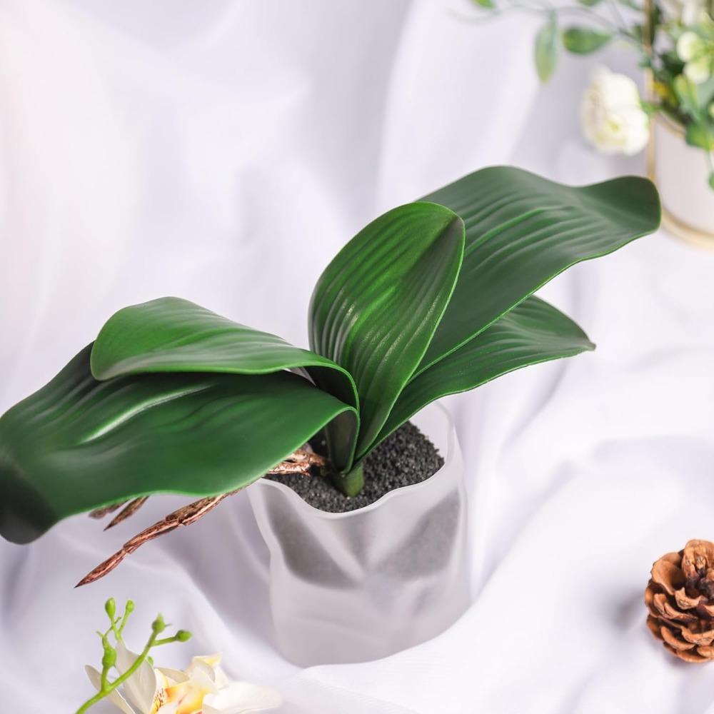 2Pack Orchid Leaves Artificial Artificial Orchid Leaves Real Touch Phalaenopsis Stems Faux Cymbidium Flower Foliage Green Artificial Orchid Bulk Lifelike Orchid Leaf Decor Faux Orchid 8 Inches