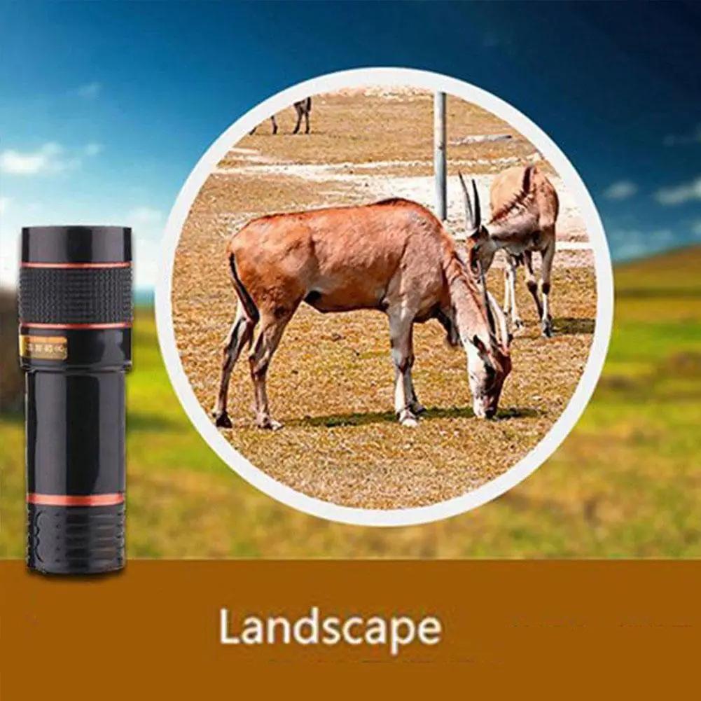 8x42 Monocular Telescope - Compact & Pocket-Sized High Power Optics for Adults, Waterproof for Wildlife Observation, Hiking, Bird Watching & Travel