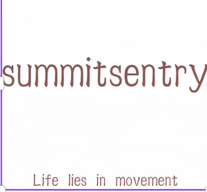 summitsentry summitsentry