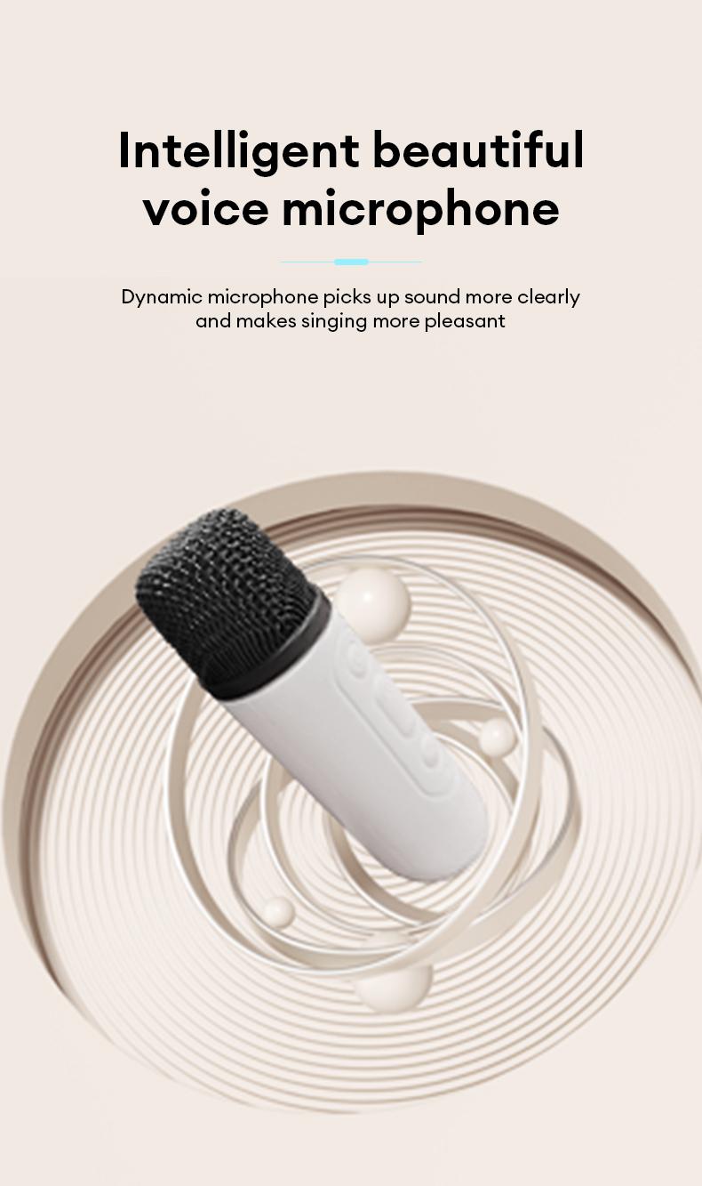 HYUNDAI S13 Portable Wireless Karaoke Bluetooth Speaker With Microphone HIFI Stereo Sound Subwoofers, KTV Speaker Subwoofer With Lighting Effect