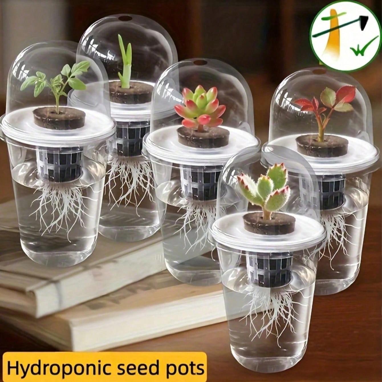 Transparent Hydroponic Seedling Pot, High Transparency Design, Aeration Feature, Ideal for Plant Propagation, Office Home Garden Decor