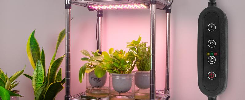 Barrina Ultra-Thin Grow Lights for Indoor Plants, 40W (4 x 10W) Full Spectrum, with 3/6/12H Auto On/Off Timer, 3 Spectrum Modes, 7 Dimmable Levels, 4 Packs