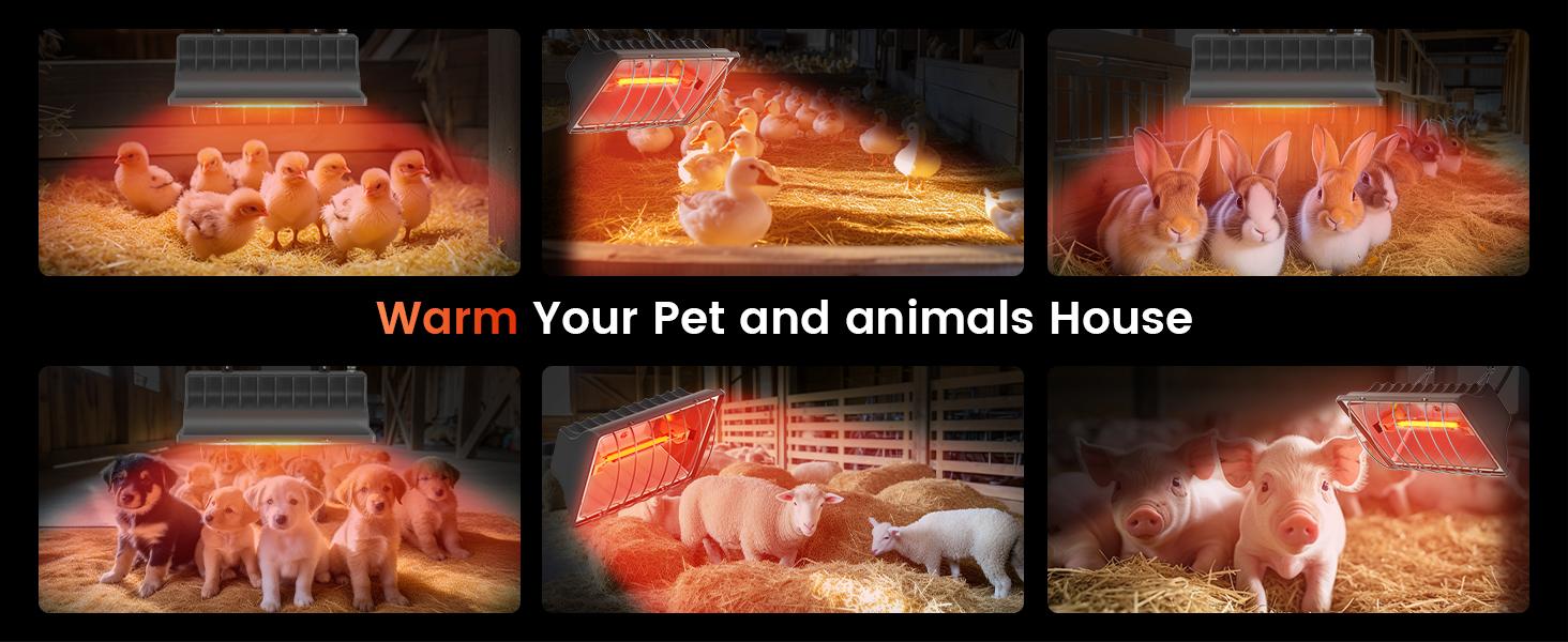 300W Chicken Coop Heater for 30 Chicks Or Ducks, 9.84ft Cord Brooder Heating Plate & Heat Lamp Chicken Coop House with Adjustable Temp & Hanging Height for Livestock Pet Supplies Outdoor 300W Chicken Coop Heater for 30 Chicks Or Ducks, 9.84ft Cord Brooder Heating Plate & Heat Lamp Chicken Coop House with Adjustable Temp & Hanging Height for Livestock Pet Supplies Outdoor