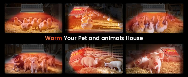 300W Chicken Coop Heater for 30 Chicks Or Ducks, 9.84ft Cord Brooder Heating Plate & Heat Lamp Chicken Coop House with Adjustable Temp & Hanging Height for Livestock Pet Supplies Outdoor