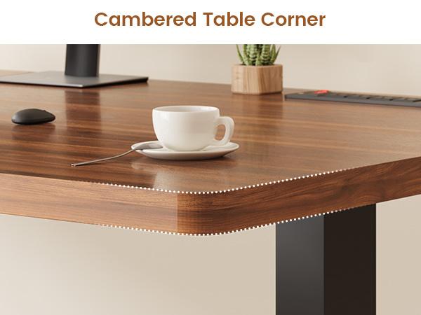 SEDETA 55 Inch Electric Standing Desk with 6 Drawers Adjustable Stand up Desk with Storage Computer Desks with Power Outlets Home Office Workstation