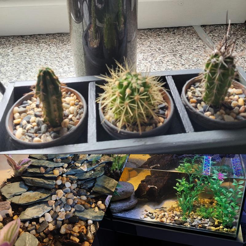 Natural Decorative Rocks 0.44/1.76lb Mixed Colors Pebbles, Aquarium Garden Outdoor Decoration, Fish Tank Sand Vase Filler, Holiday Decorations