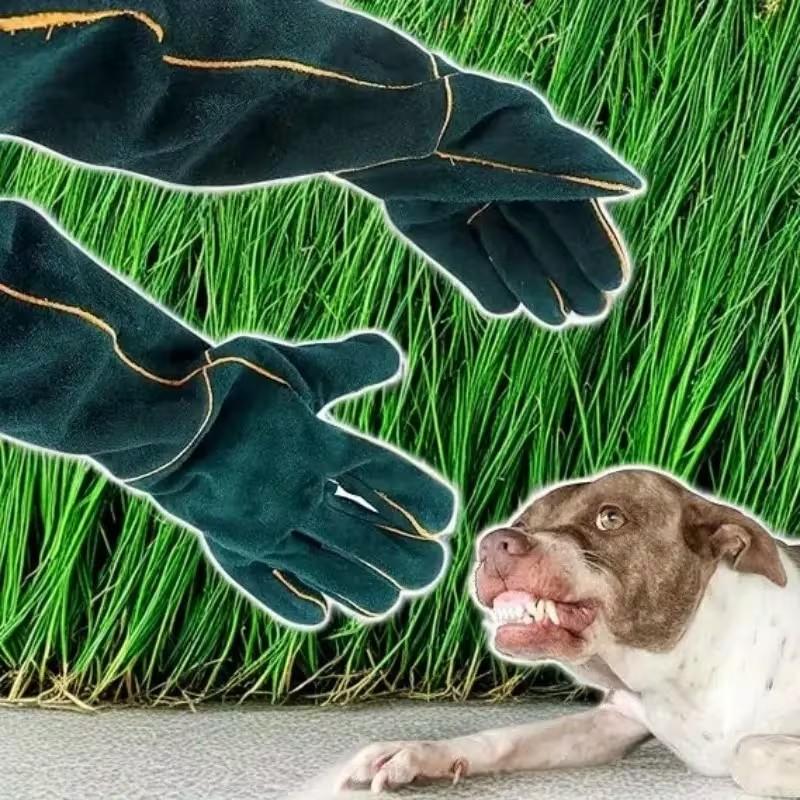 Multi-Use Animal Handling Gloves, Enhanced Material, Outdoor Pet Training Supplies, Secure Reptile Care, Easy Home Use, Beginner Friendly, Professional Gear