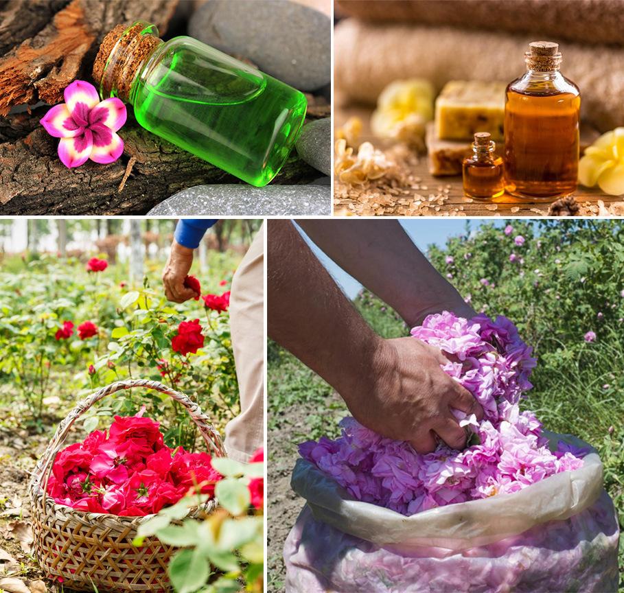 BISUTANG Skin Repair XXXXL Turmeric Soap Bar Cut-Your-Own Jumbo Block Turmeric Rose Lavender Options Natural Plant-Based Formula Body Wash Calming Cleansing Cleanser BISUTANG Skin Repair XXXXL Turmeric Soap Bar Cut-Your-Own Jumbo Block Turmeric Rose Lavender Options Natural Plant-Based Formula Body Wash Calming Cleansing Cleanser