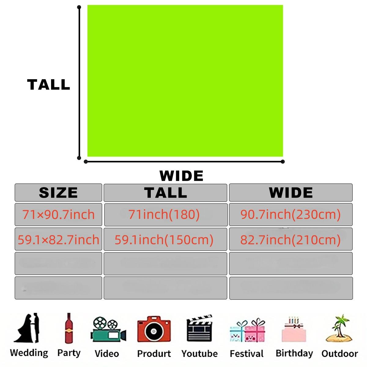 2D Flat Banner Vibrant Holi Festival Celebration Backdrop, Traditional Indian Design on Colorful Polyester Banner for Indoor & Outdoor Parties, Home & Garden Events