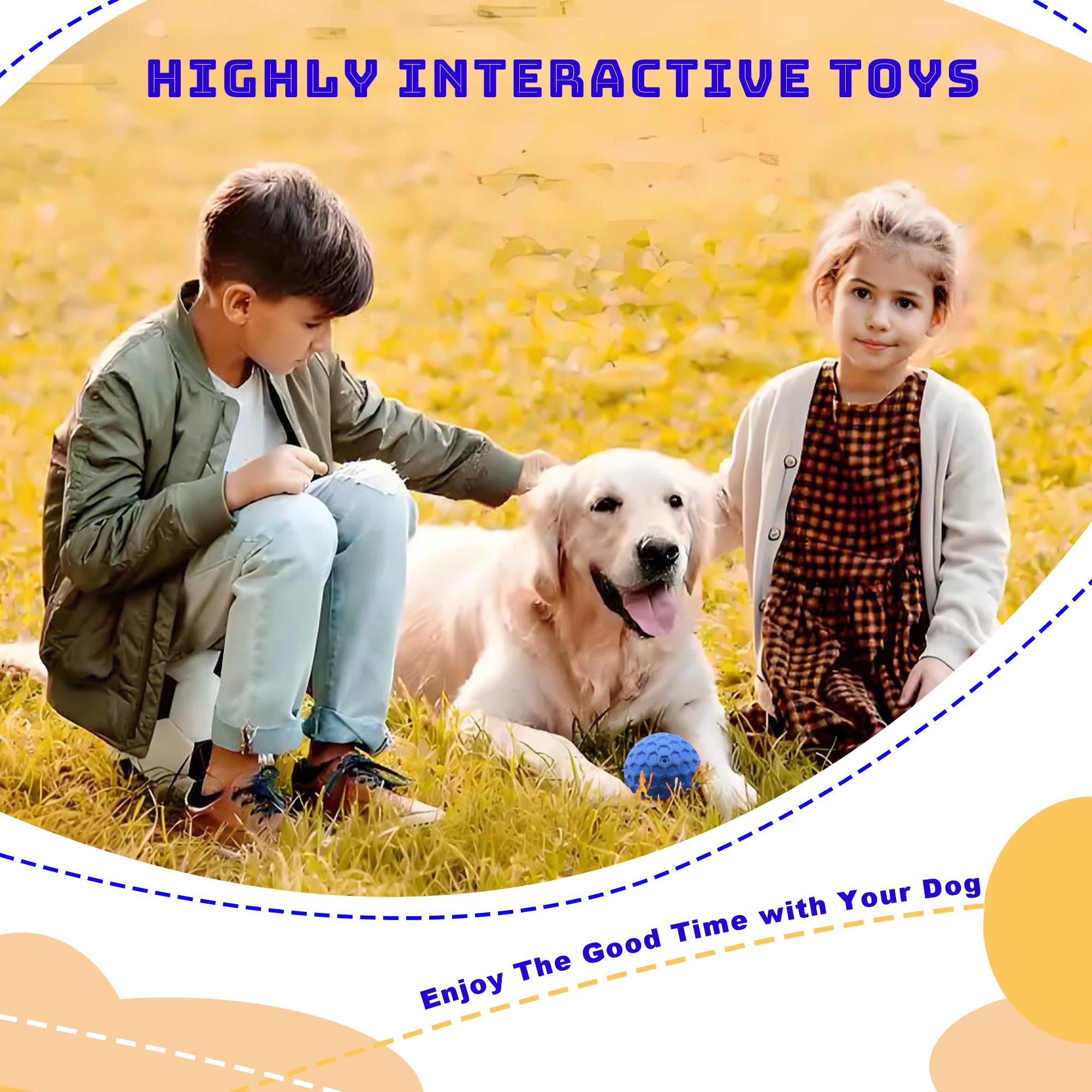 Indestructible Squeaky Dog Ball - Relieves Anxiety, Cleans Teeth, Interactive Chew Toy for Large Breeds, Outdoor Waterproof