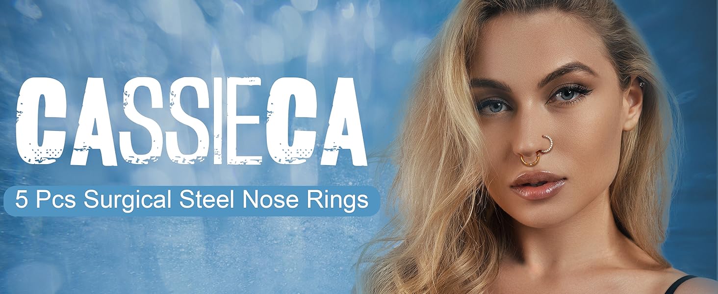 5 PCS 16G Nose Rings Hoops, Steel Earrings Tragus Septum Piercing CZ Clicker Septum Ring Hinged Segment Septum Conch Lip Helix Cartilage Hoops 8mm for Women Men