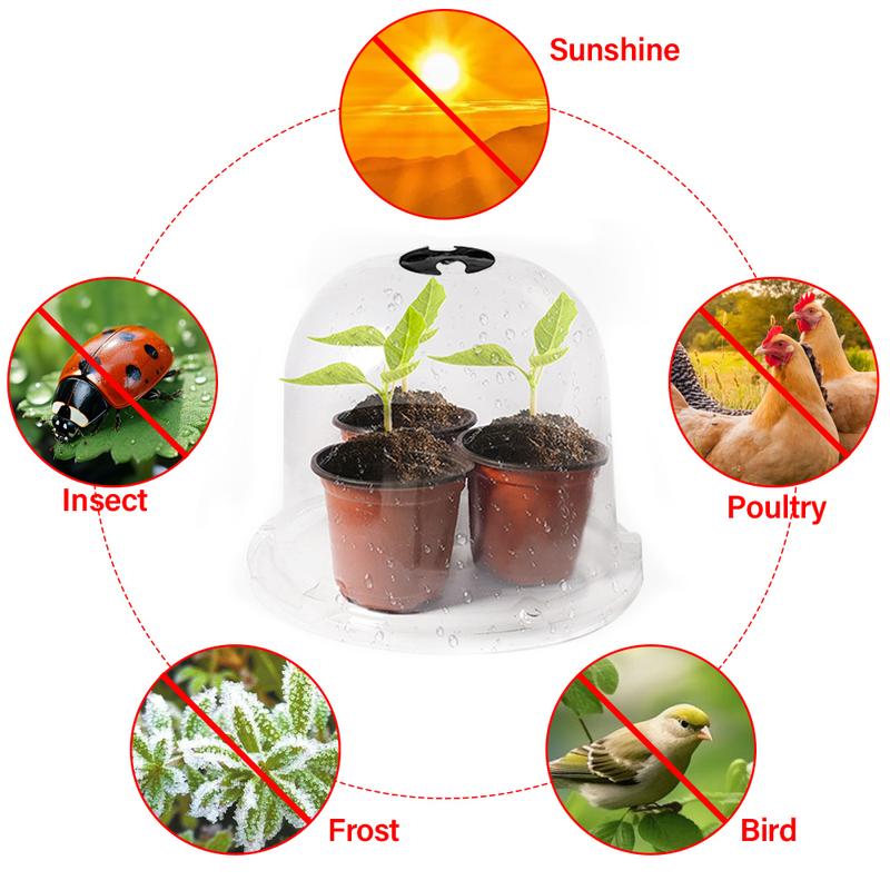 Transparent PVC Seedling Insulation Cover Set 6 Pieces Family Balcony Vegetable Garden Balcony Vegetable Garden Vegetable Planting Base Planting Tools Home Growing