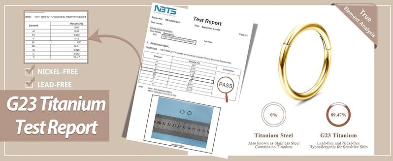 5Pcs G23 Titanium Nose Rings Hoops 20G 18G 16G Clicker Hinged Piercing Hoop Body Piercing Rings for Septum Cartilage Daith Rook Lip Tragus Helix Conch Ear Lobe Earrings Hypoallergenic Nose Piercing Jewelry Women Men 6/7/8/9/10mm