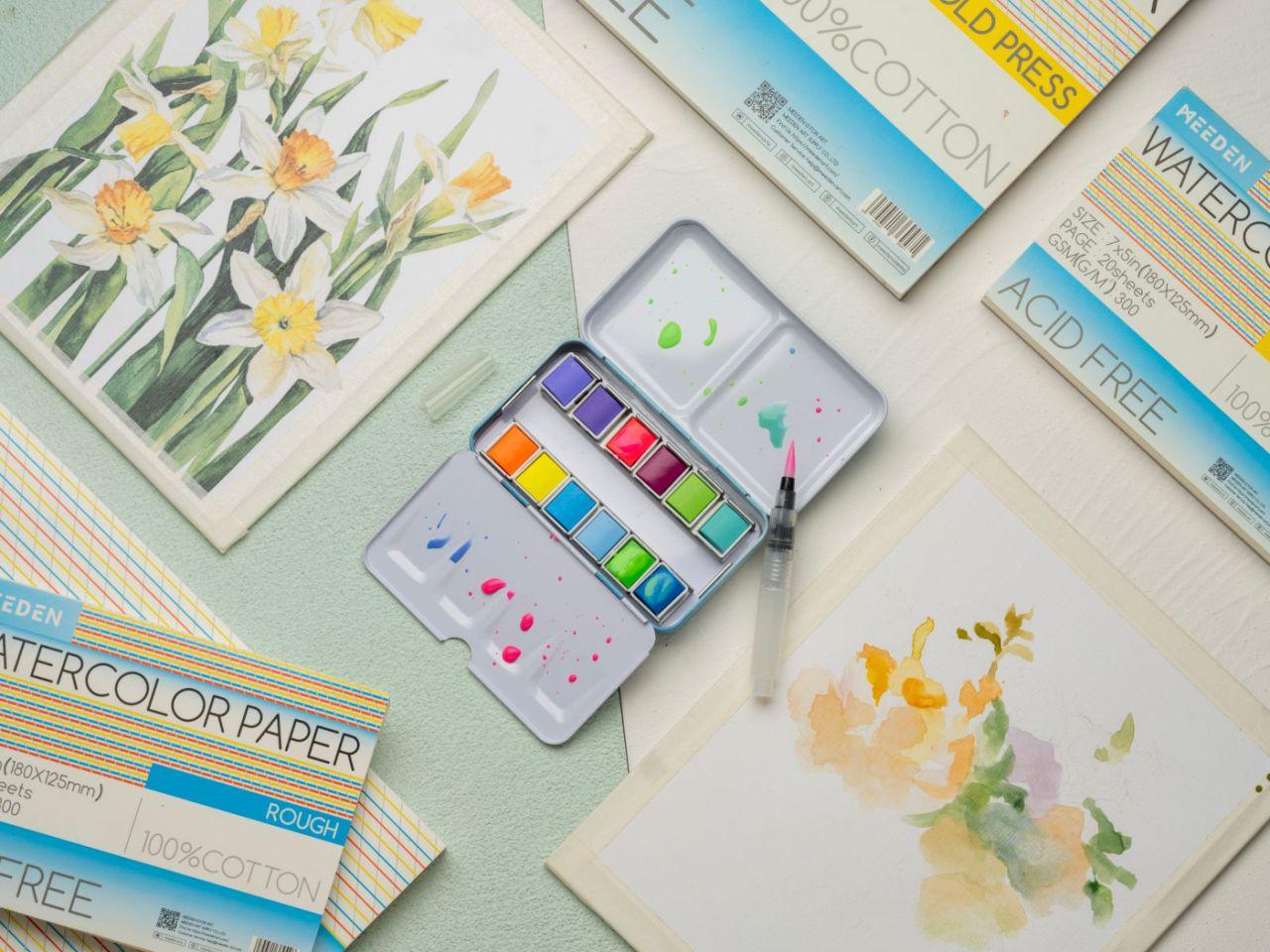 MEEDEN Watercolor Paint Set, 12 Colors Set with Carrying Case, Removable Blocks, Travel Watercolor Set for Artists and Crafters, Gift