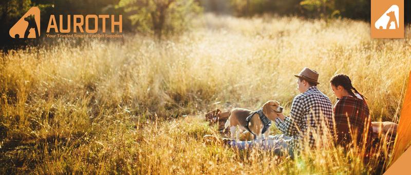 【AUROTH】 Dog Leash , Heavy Duty Dog Leash Bungee, No Pull Dog Leash for Shock Absorption, Dog Training Leashes for small Medium Large Breed Dogs 6FT, 2 Padded Handles，cat leash