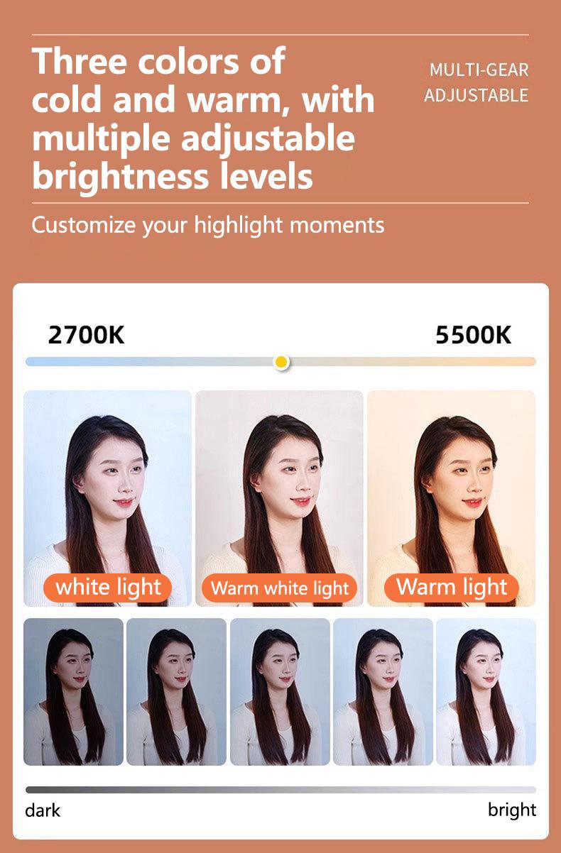 Portable Selfie Light with Tripod Stand, 1 Set Dimmable Video Conference LED Lighting with Remote Control, Shooting Fill Light for Video Recording YT TK Live Streaming, Phone Selfie Stick Camera Accessories Smartphone