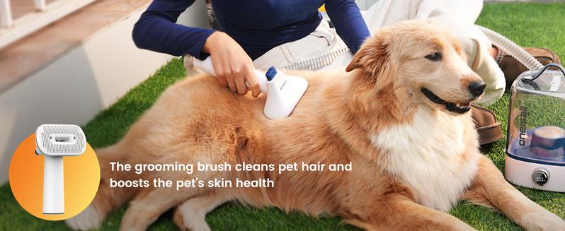 oneisall Cordless Pet Grooming Vacuum Kit,Dog Grooming Kit with 5100mAh & 11-in-1 Pet Tools, 3L Dust Cup, Low Noise for Shedding & Grooming and Suitable for Home/Car Cleaning,Comfy L1