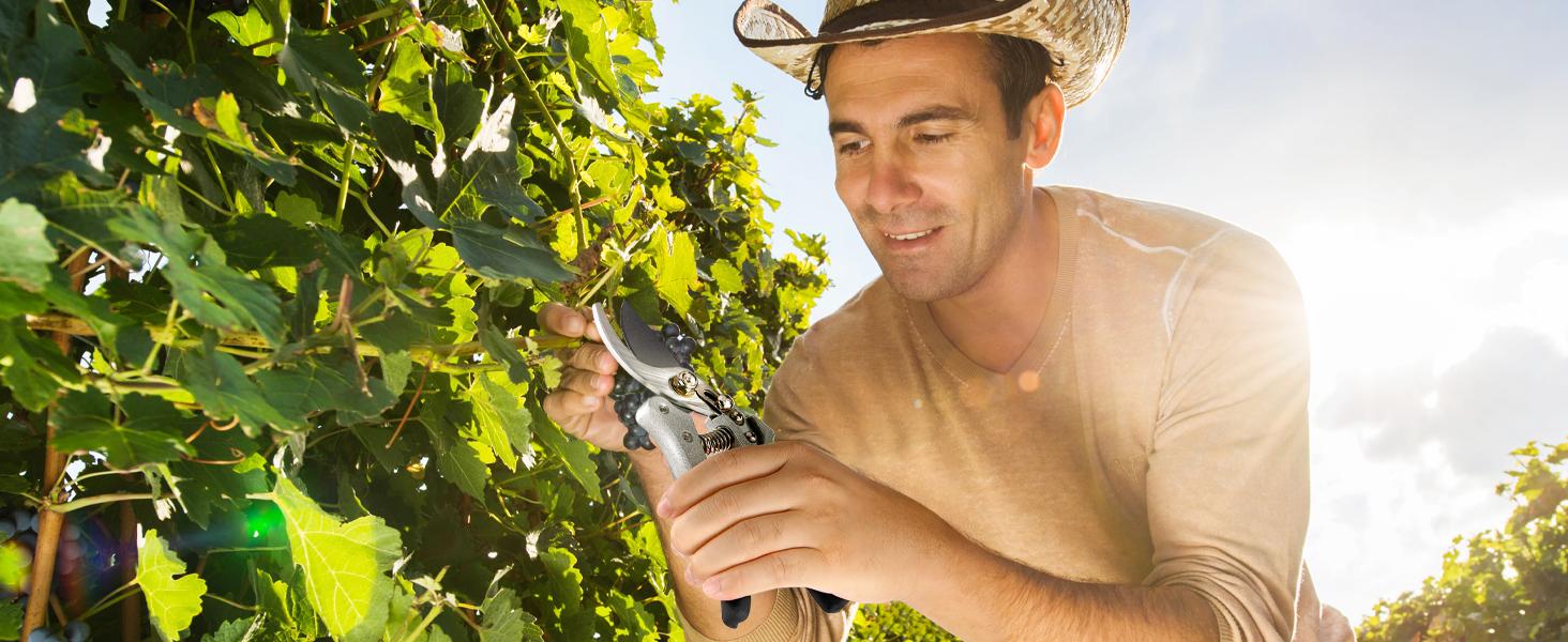 DECERK Pruning Shears for Garden  8.5" Professional Bypass Gardening Scissors & Clippers, Super Sharp SK5 Blade, Ergonomic Handle Heavy Duty Hand Held Pruners, Gardening Gift for Women Men with wood finish, 2025 springtok home Tool