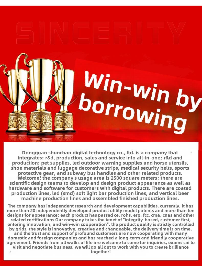 【Pet Essential】USB rechargeable luminous leather belt LED flashing collar with adjustable brightness, extremely cool. christmas  collar ball toy Adjustable LED harness